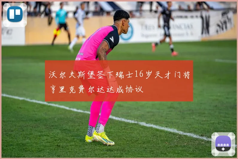 沃尔夫斯堡签下瑞士16岁天才门将亨里克费尔达达成协议