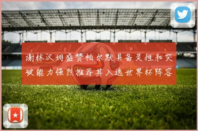 谢林汉姆盛赞帕尔默具备灵性和突破能力强烈推荐其入选世界杯阵容