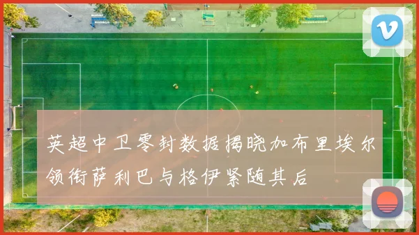 英超中卫零封数据揭晓加布里埃尔领衔萨利巴与格伊紧随其后