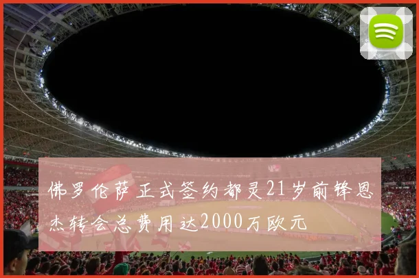 佛罗伦萨正式签约都灵21岁前锋恩杰转会总费用达2000万欧元
